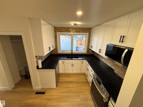 11744 37 Avenue, Edmonton, AB - Indoor Photo Showing Kitchen With Double Sink