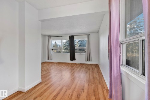 11055 157 Street Nw, Edmonton, AB - Indoor Photo Showing Other Room