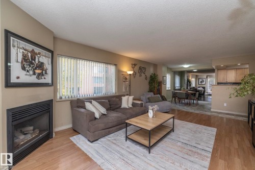 205 10130 114 Street, Edmonton, AB - Indoor Photo Showing Living Room With Fireplace