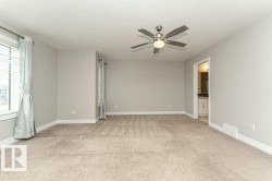 Unfurnished room featuring light colored carpet, a textured ceiling, and a ceiling fan - 