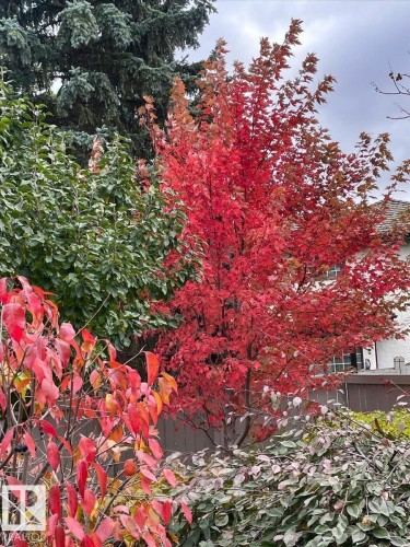 1371 Carter Crest Road, Edmonton, AB - Outdoor