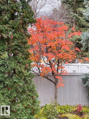 1371 Carter Crest Road, Edmonton, AB - Outdoor