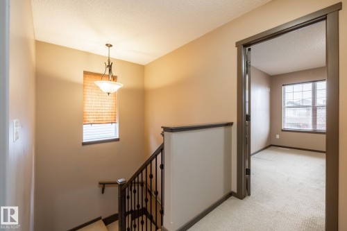 123 63 Street, Edmonton, AB - Indoor Photo Showing Other Room