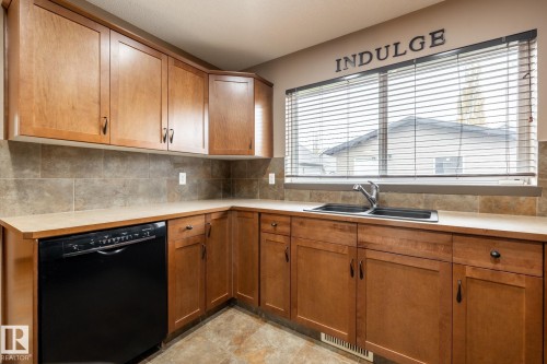 123 63 Street, Edmonton, AB - Indoor Photo Showing Kitchen With Double Sink