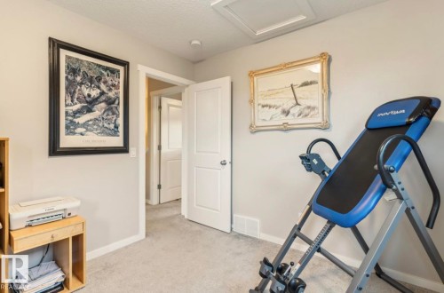 12737 205 Street, Edmonton, AB - Indoor Photo Showing Gym Room