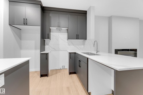 252 24 Street, Edmonton, AB - Indoor Photo Showing Kitchen With Double Sink
