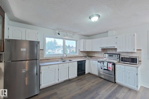 1036 38 Street, Edmonton, AB - Indoor Photo Showing Kitchen With Double Sink