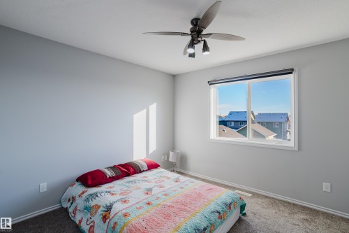 9019 219 Street, Edmonton, AB - Indoor Photo Showing Bedroom