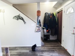 Foyer with dark wood-style flooring and baseboards - 