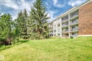 306 4404 122 Street, Edmonton, AB  - Outdoor With Balcony 