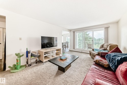 306 4404 122 Street, Edmonton, AB - Indoor Photo Showing Living Room