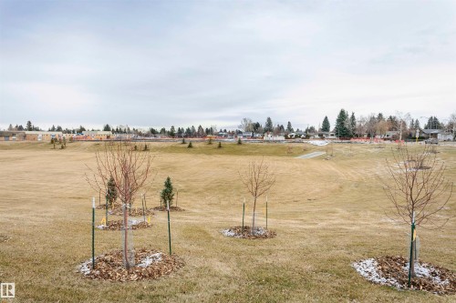 8412 71 Street, Edmonton, AB - Outdoor With View