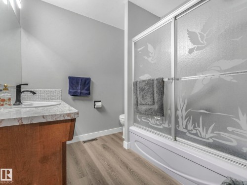 13903 95 Street, Edmonton, AB - Indoor Photo Showing Bathroom