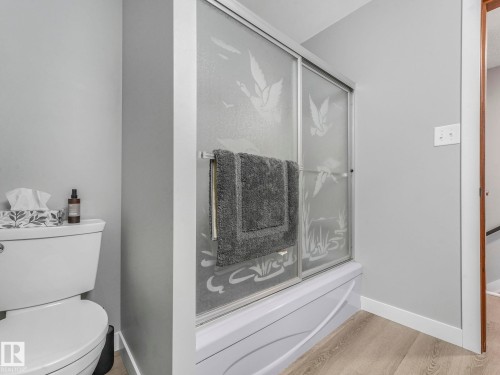 13903 95 Street, Edmonton, AB - Indoor Photo Showing Bathroom