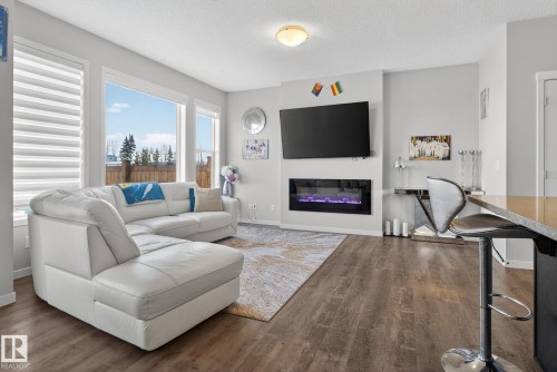 2031 51 Street, Edmonton, AB - Indoor Photo Showing Living Room With Fireplace