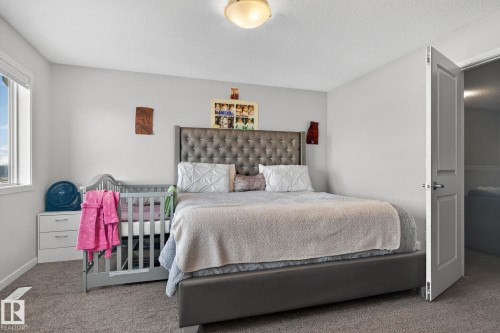 2031 51 Street, Edmonton, AB - Indoor Photo Showing Bedroom