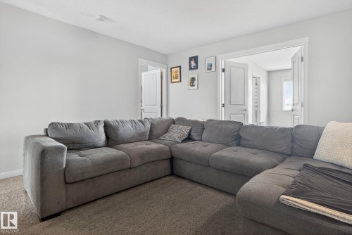 2031 51 Street, Edmonton, AB - Indoor Photo Showing Living Room