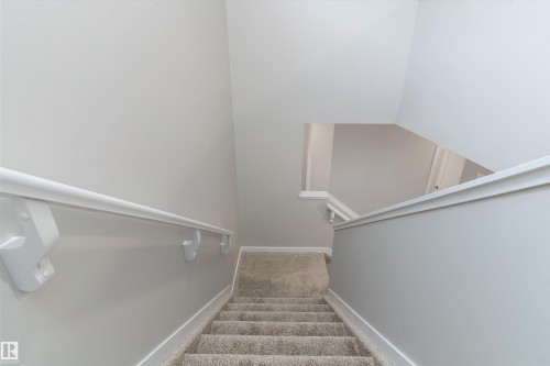 Stairs featuring carpet flooring and baseboards - 6320 King Wynd, Edmonton, AB - Indoor Photo Showing Other Room