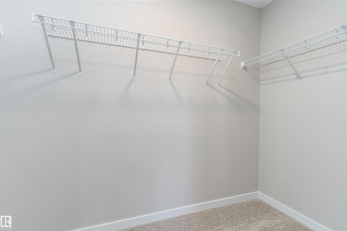 Spacious closet with carpet floors - 6320 King Wynd, Edmonton, AB - Indoor With Storage