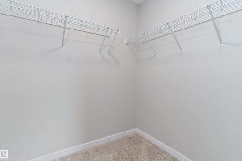 Walk in closet featuring carpet - 6320 King Wynd, Edmonton, AB - Indoor With Storage