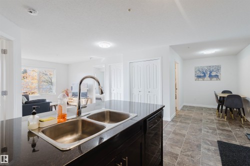 209 11803 22 Avenue, Edmonton, AB - Indoor Photo Showing Kitchen With Double Sink