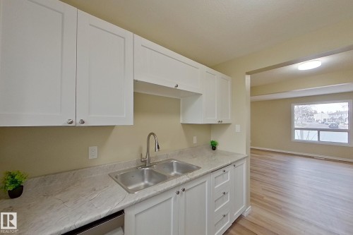 112 Dickinsfield Court Nw, Edmonton, AB - Indoor Photo Showing Kitchen With Double Sink