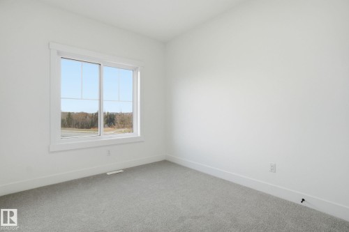 3309 Chernowski Way, Edmonton, AB - Indoor Photo Showing Other Room