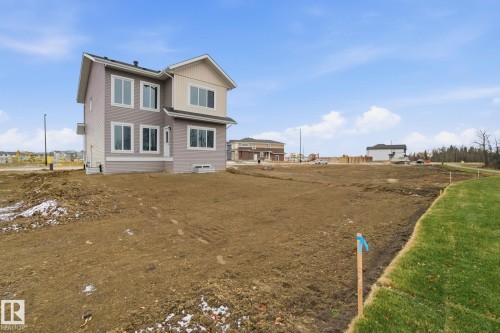 3294 Chernowski Way, Edmonton, AB - Outdoor