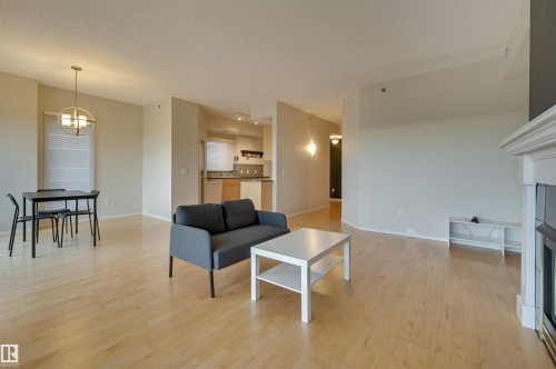 501 9708 110 Street, Edmonton, AB - Indoor Photo Showing Living Room