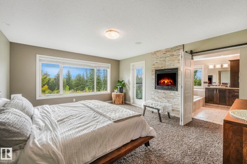 2441 Bowen Wynd, Edmonton, AB - Indoor Photo Showing Bedroom With Fireplace