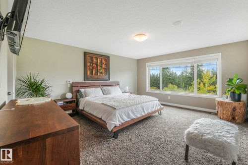 2441 Bowen Wynd, Edmonton, AB - Indoor Photo Showing Bedroom