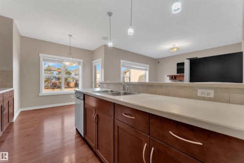 3650 13 Street, Edmonton, AB - Indoor Photo Showing Kitchen With Double Sink