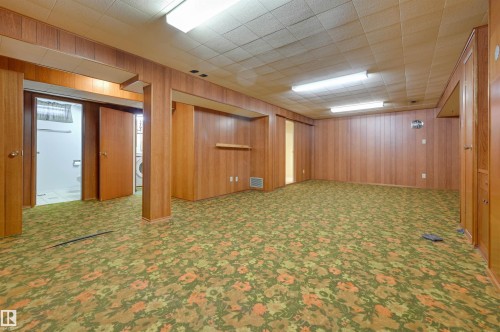 9648 74 Street Nw, Edmonton, AB - Indoor Photo Showing Basement