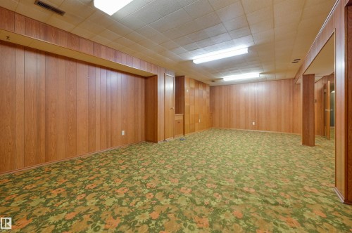 9648 74 Street Nw, Edmonton, AB - Indoor Photo Showing Basement