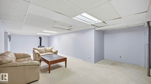 4506 48 Avenue, Gibbons, AB - Indoor Photo Showing Basement