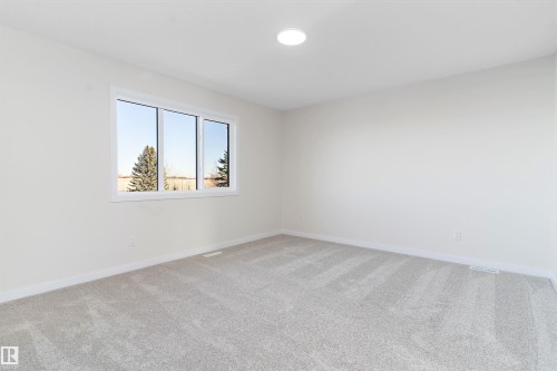 Unfurnished room featuring carpet and baseboards - 823 Rowan Close, Edmonton, AB - Indoor Photo Showing Other Room