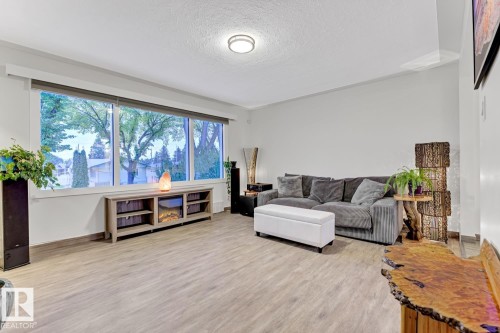 10636 79 Street Nw, Edmonton, AB - Indoor Photo Showing Living Room