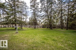 Expansive grassy area surrounded by mature evergreen trees - 