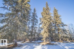 View of snowy yard - 
