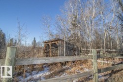 View of yard - 