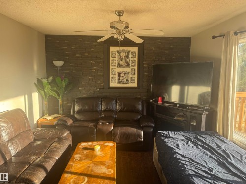 4524 20 Avenue Nw, Edmonton, AB - Indoor Photo Showing Living Room