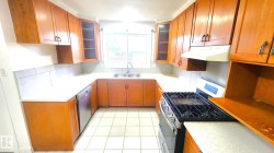Kitchen featuring brown cabinetry, stainless steel appliances, under cabinet range hood, and glass insert cabinets - 