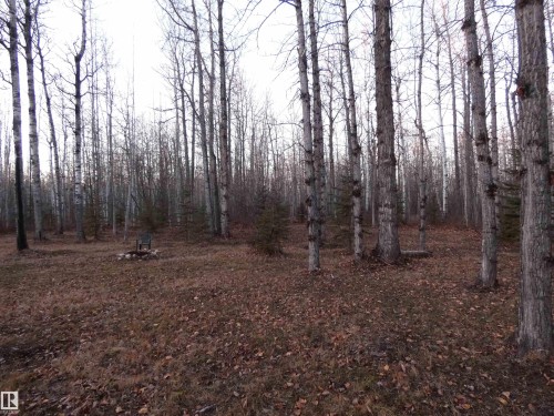 Fire pit area of the yard toward the trails in the trees - 13 Willow Place, Rural Barrhead County, AB 
