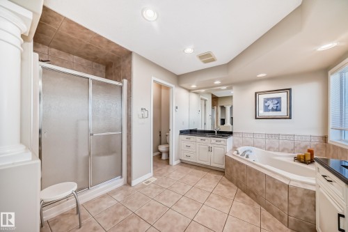 203 Darlington Crescent, Edmonton, AB - Indoor Photo Showing Bathroom