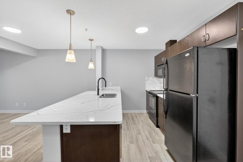 222 1180 Hyndman Road, Edmonton, AB - Indoor Photo Showing Kitchen With Double Sink