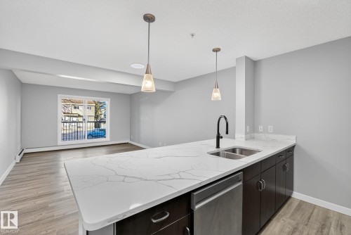 222 1180 Hyndman Road, Edmonton, AB - Indoor Photo Showing Kitchen With Double Sink