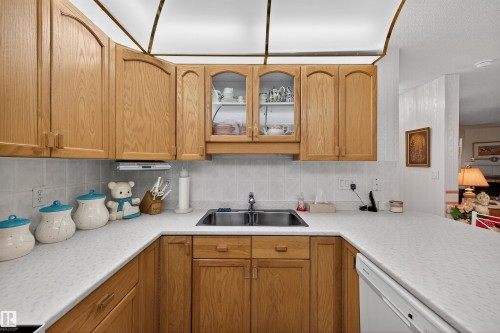 103 10935 21 Avenue, Edmonton, AB - Indoor Photo Showing Kitchen With Double Sink