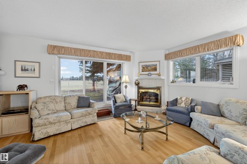 103 10935 21 Avenue, Edmonton, AB - Indoor Photo Showing Living Room With Fireplace