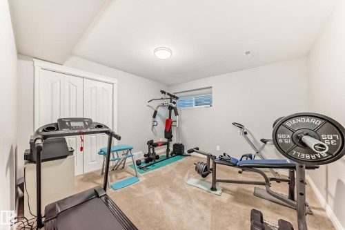 20448 56 Avenue, Edmonton, AB - Indoor Photo Showing Gym Room