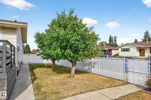 16508 114 Street, Edmonton, AB - Outdoor